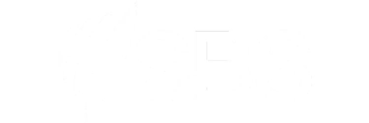 8.webp